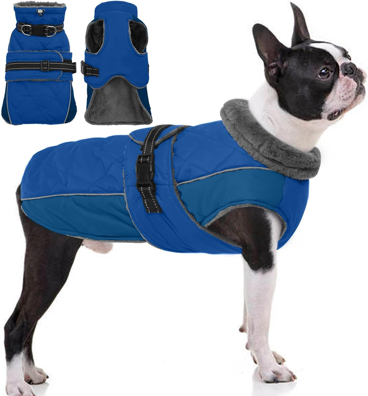 QBLEEV cold weather pet apparel packaging with authentic import details.
