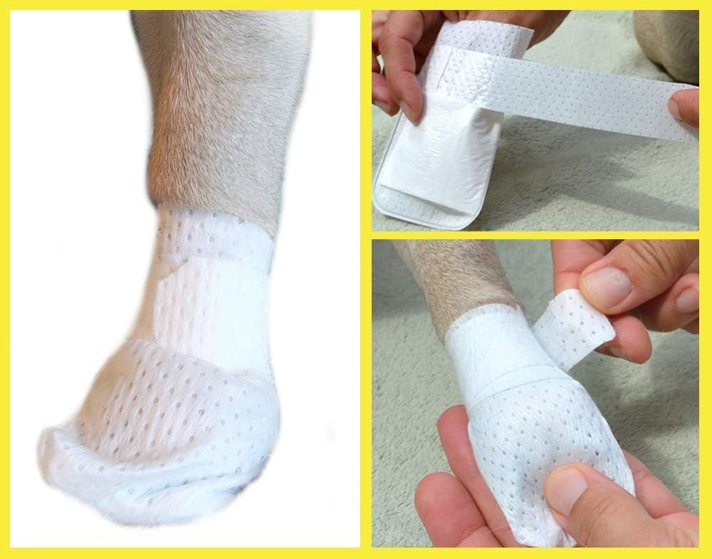 PawFlex Medimitt worn on a dog paw showing secure fit