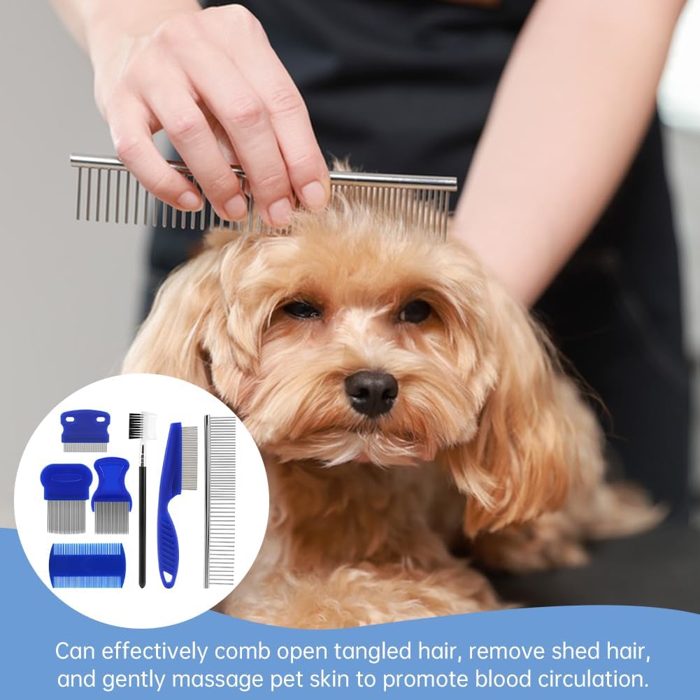 Blue long-needle pet grooming comb for untangling knots and removing loose hair.