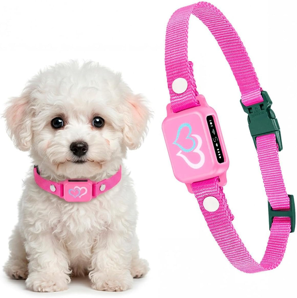 DogTrust bark collar for small dogs in candy pink front view