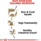 Authentic imported Royal Canin soft dog food designed for purebred Chihuahuas over eight months old