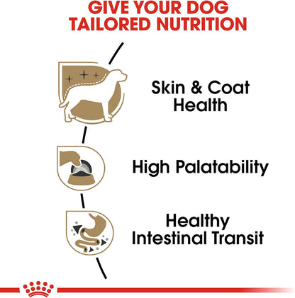Authentic imported Royal Canin soft dog food designed for purebred Chihuahuas over eight months old