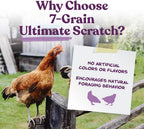 Close up of Manna Pro 7-Grain Ultimate Chicken Scratch grains