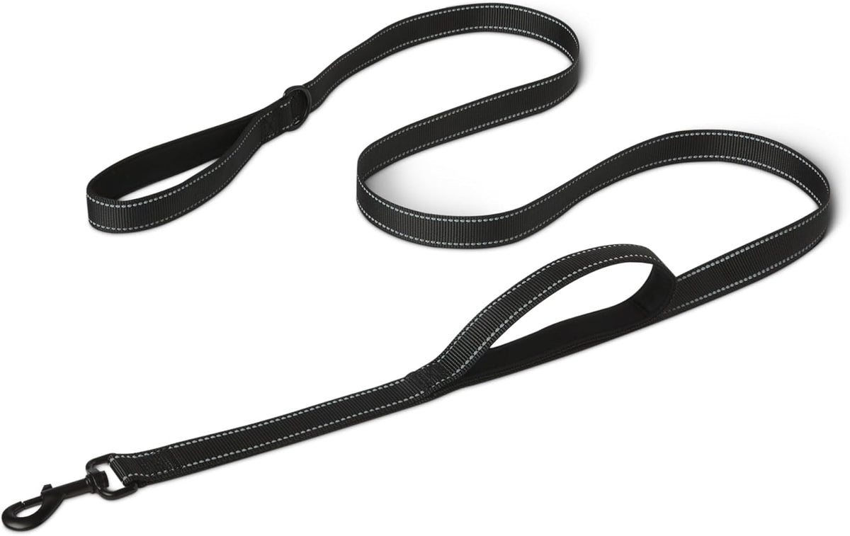 Durable metal snap hook for dog collar attachment