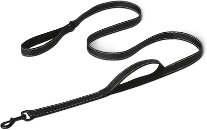 Amazon Basics dual handle reflective dog leash black front view showing full six feet length