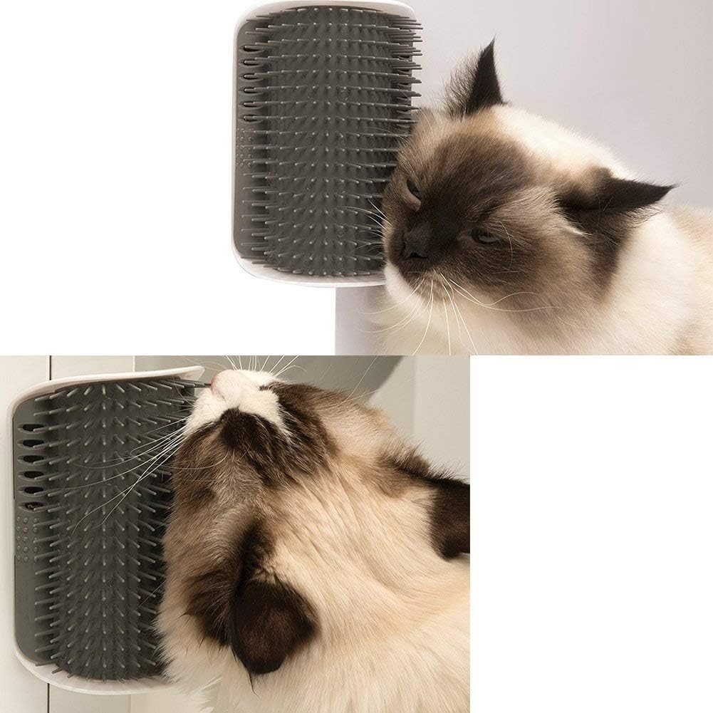 Durable ABS plastic pet self groomer showing detachable inner brush compartment