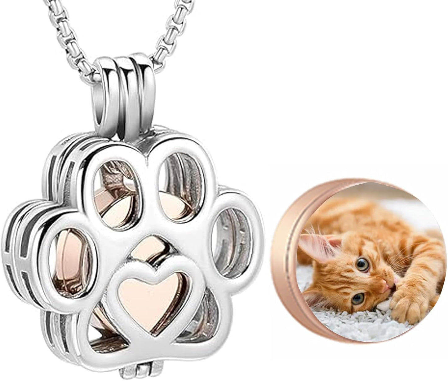 Oinsi Pet Cremation Jewelry For Ashes For Dog/Cat Paw Stainless Steel Memorial Locket Urn Necklace Inside Mini Case Keepsake Cremation Jewelry Women Men - Image 10