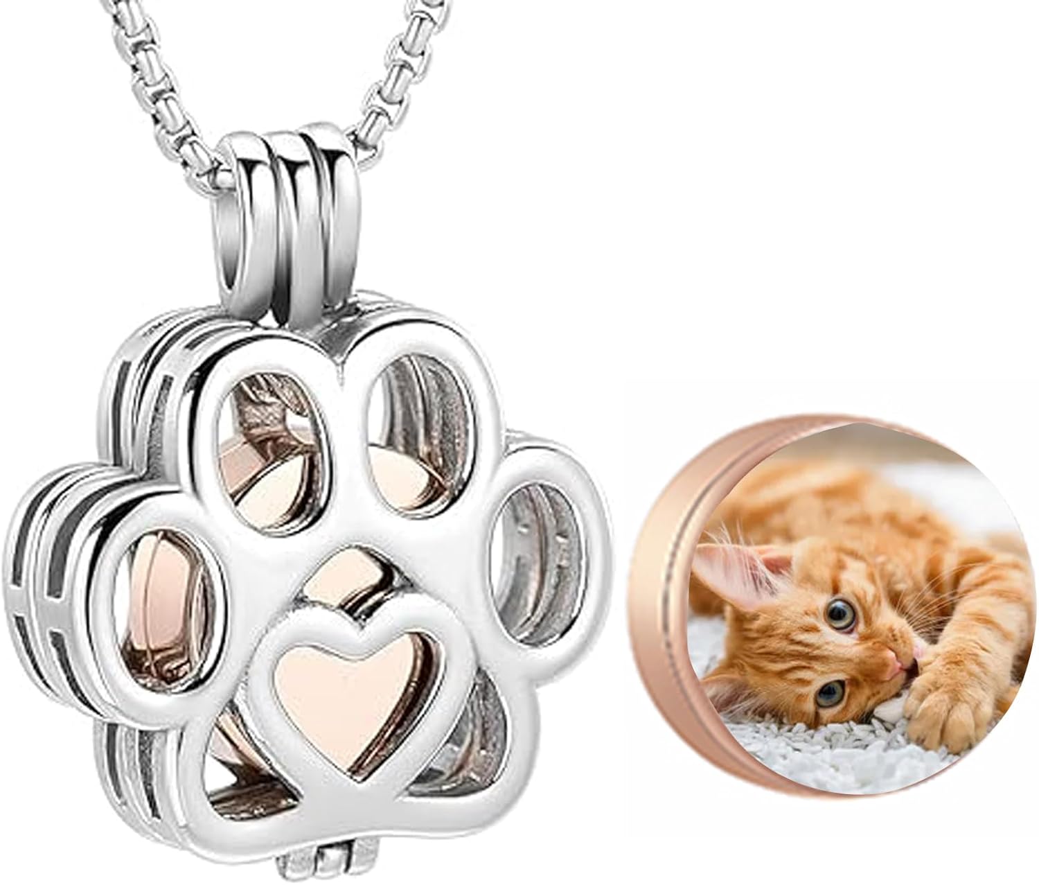Oinsi Pet Cremation Jewelry For Ashes For Dog/Cat Paw Stainless Steel Memorial Locket Urn Necklace Inside Mini Case Keepsake Cremation Jewelry Women Men - Image 10