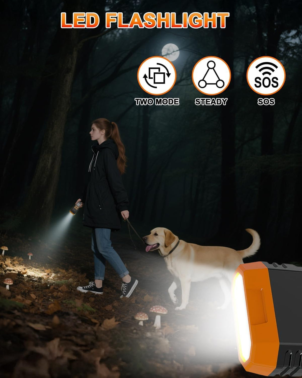 Back view of rechargeable dog barking silencer