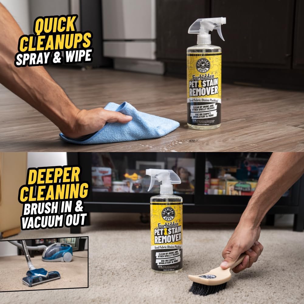 Using Chemical Guys pet stain remover on home carpet