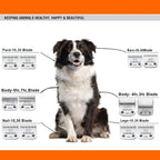 Audoc pack of three detachable pet grooming replacement blades displayed together.