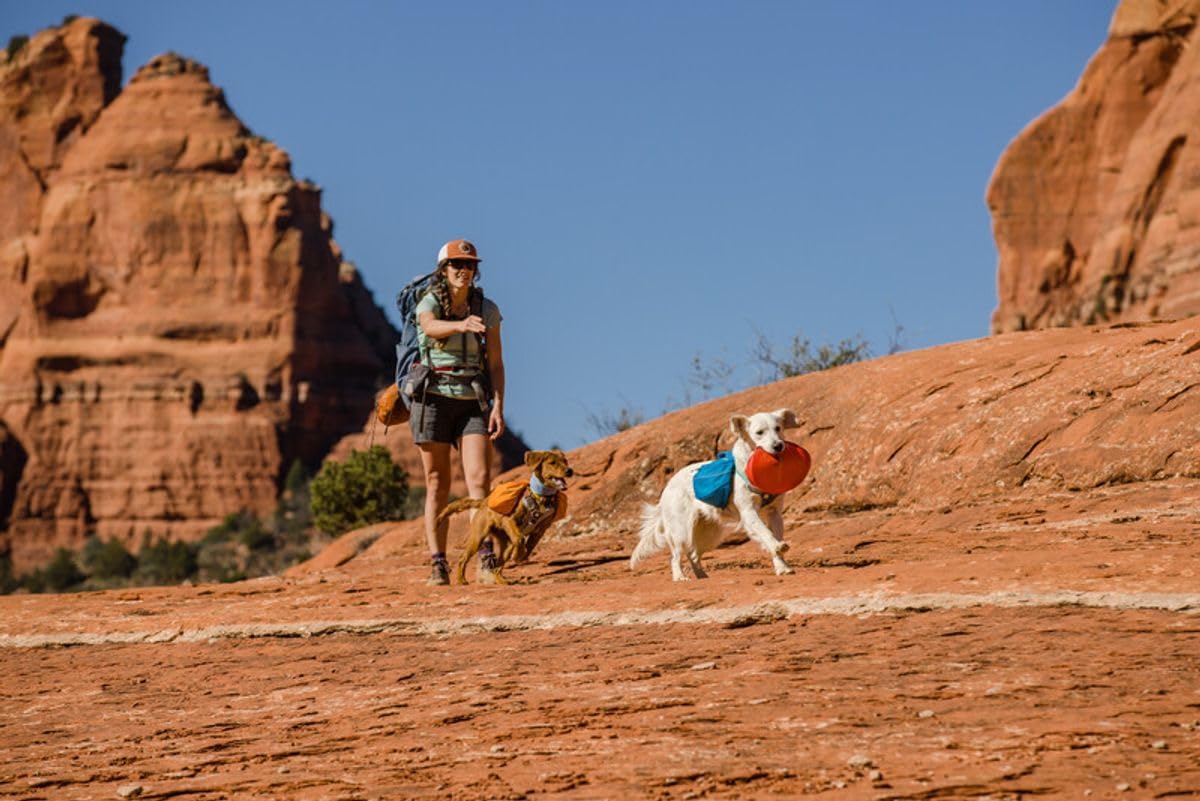 Dog playing fetch with Ruffwear Camp Flyer in a park