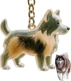 Dog Hair Collector Keychain Charm Memorial Storage Box, Dog Shape Pet Hair Memorial Bottle, DIY Pet Furs Collection Capsules, Pet Hair Ashes Keepsake (Poodle) - Image 11