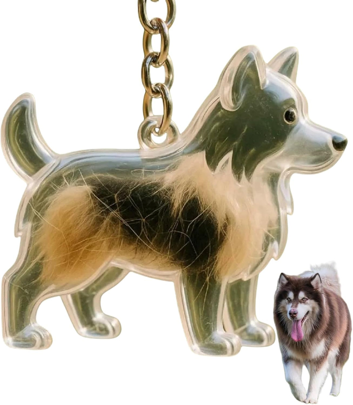 Dog Hair Collector Keychain Charm Memorial Storage Box, Dog Shape Pet Hair Memorial Bottle, DIY Pet Furs Collection Capsules, Pet Hair Ashes Keepsake (Poodle) - Image 11