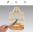 Angoily Bird Cage Cleaning Brush 2-Pack Long Handle Wire Bristle Cage Brush for Pet Supplies Easy Stubborn Stain Removal and Daily Grooming - Image 9