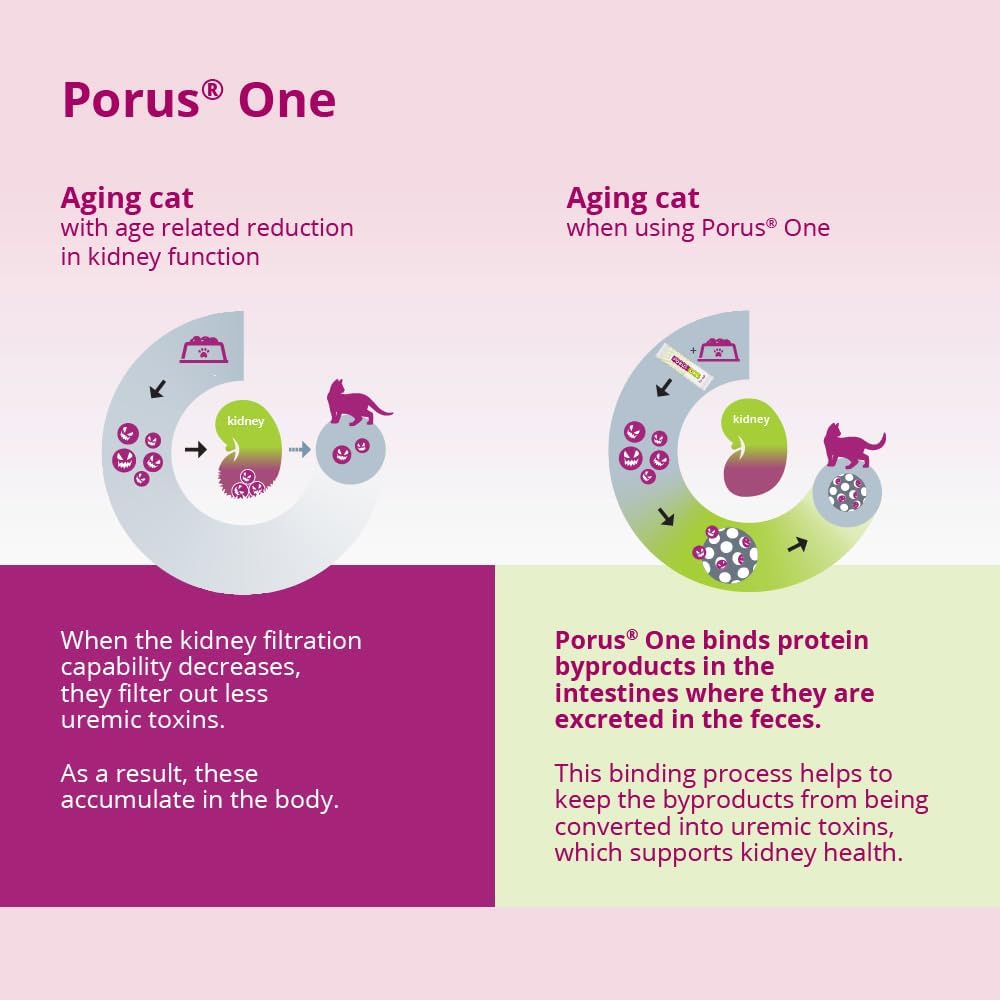 Instructions on back of Porus One packaging