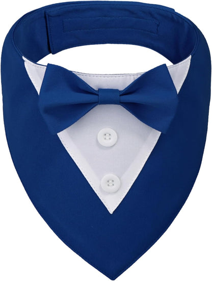 Detailed view of the decorative white buttons on pet tuxedo suit