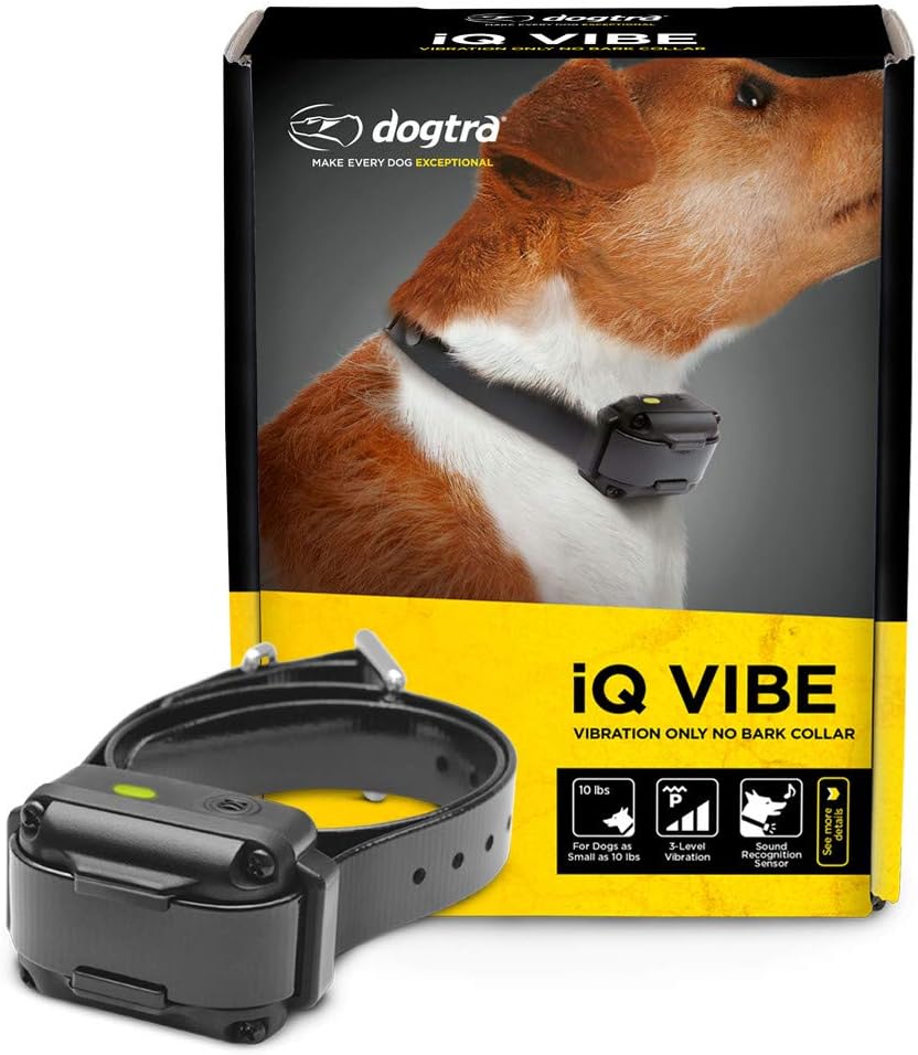 Dogtra iQ Vibe vibration only no bark collar front view