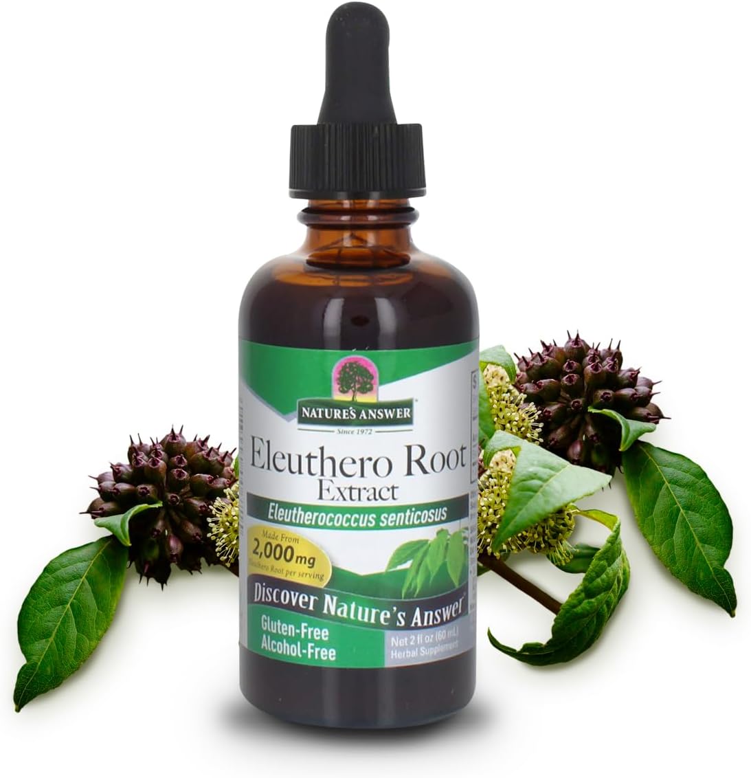 Nature's Answer Alcohol-Free Eleuthero Root 2 Fluid Ounces front view amber glass dropper bottle