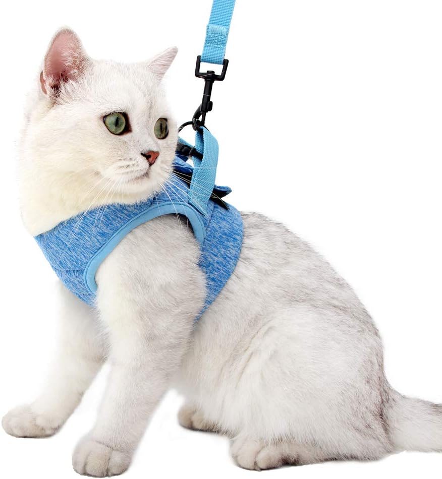 Heywean Cat Harness And Leash packaging and complete set overview