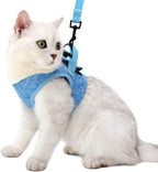 Heywean Cat Harness And Leash packaging and complete set overview