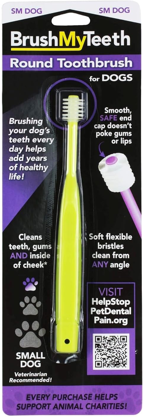 Brush My Teeth Big Dog Toothbrush, Rounded Brush Head with Soft Flexible Bristles for Safe and Gentle Brushing for Dogs, Any Large Breed or Puppy, Daily Brushing Adds Years of Healthy Life - Image 9