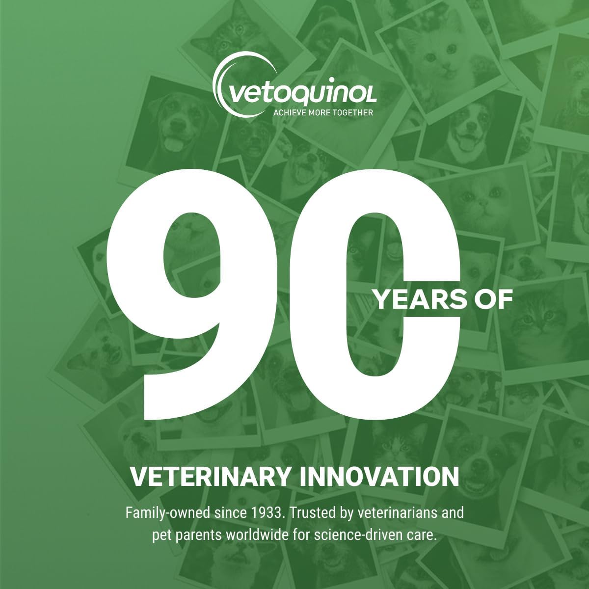 Vetoquinol Viralys immunity support powder jar in lifestyle setting