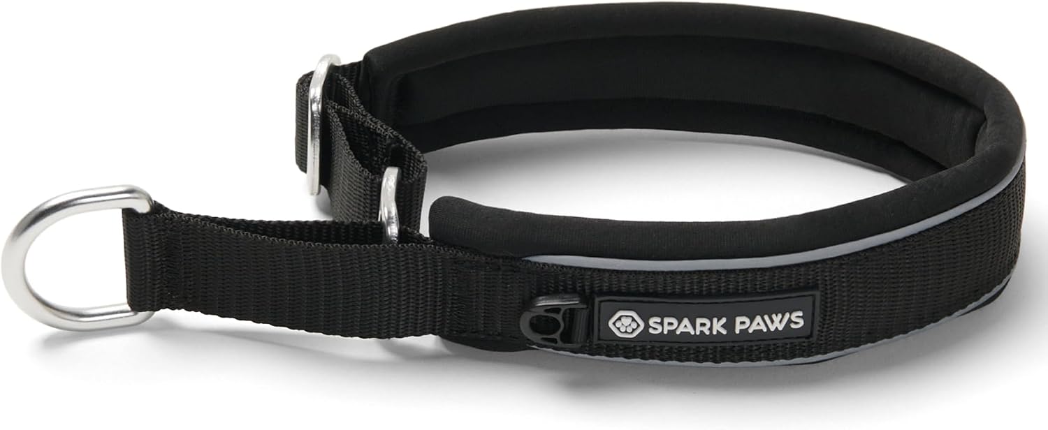 Spark Paws Martingale Dog Collar - Cushioned Slip-On Training Collar, Heavy Duty, Safety-Tested No-Buckle Collar for Medium & Large Dogs - 90s Retro - C - Image 10