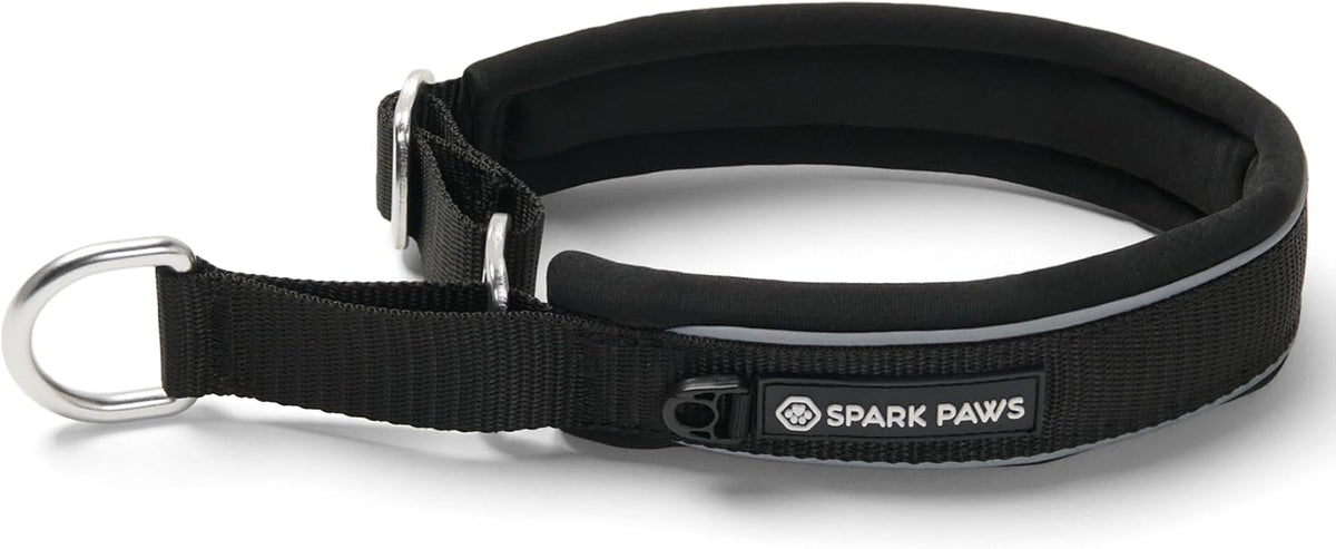 Spark Paws Martingale Dog Collar - Cushioned Slip-On Training Collar, Heavy Duty, Safety-Tested No-Buckle Collar for Medium & Large Dogs - 90s Retro - C - Image 10