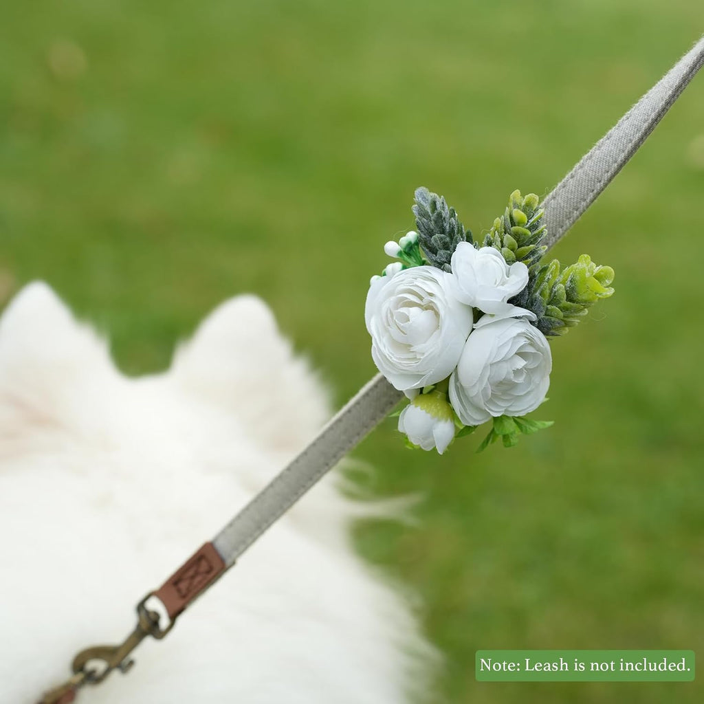 Pet wedding outfit accessory for photography and events