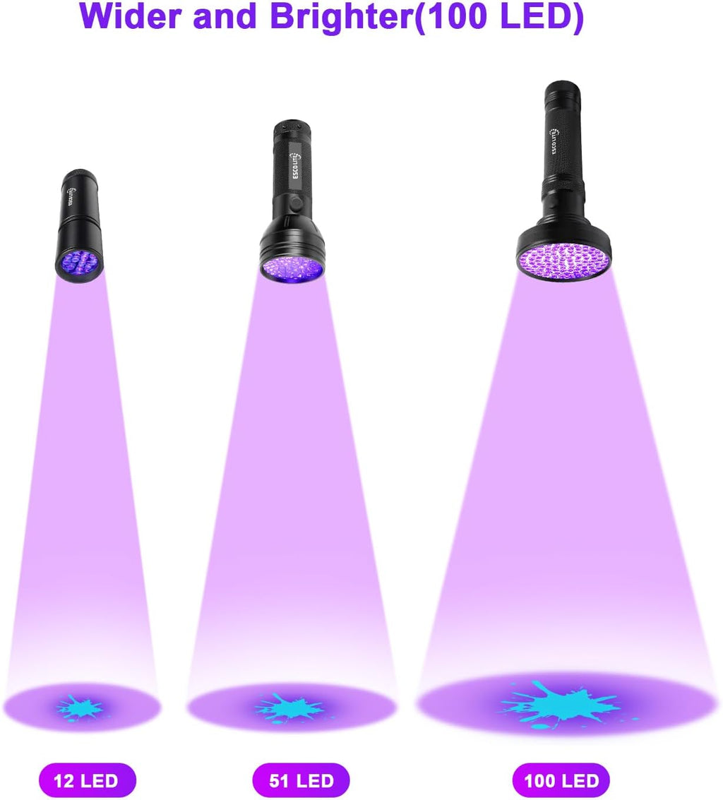 Escolite professional blacklight scanning official documents for authenticity verification.