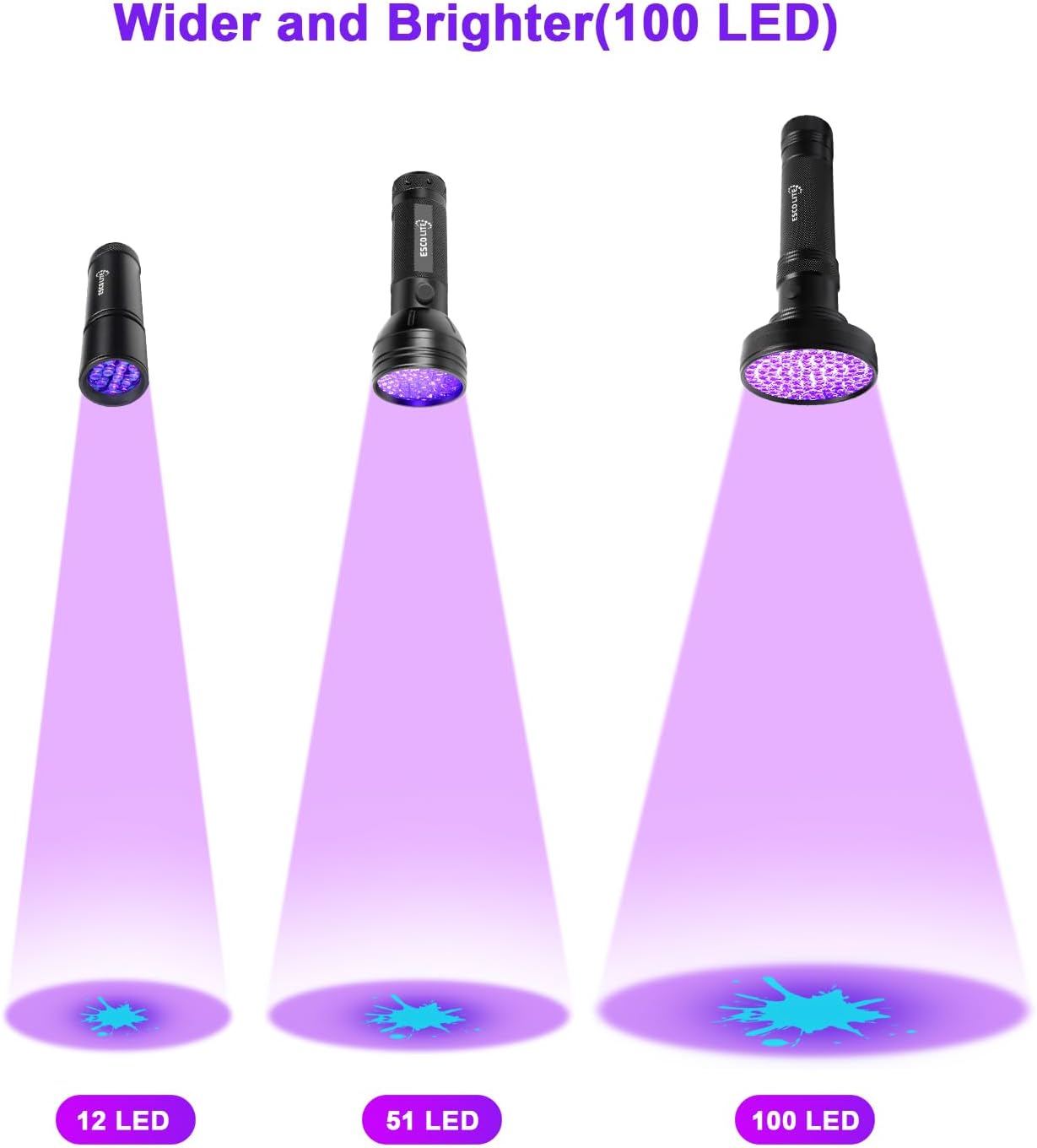 Escolite professional blacklight scanning official documents for authenticity verification.