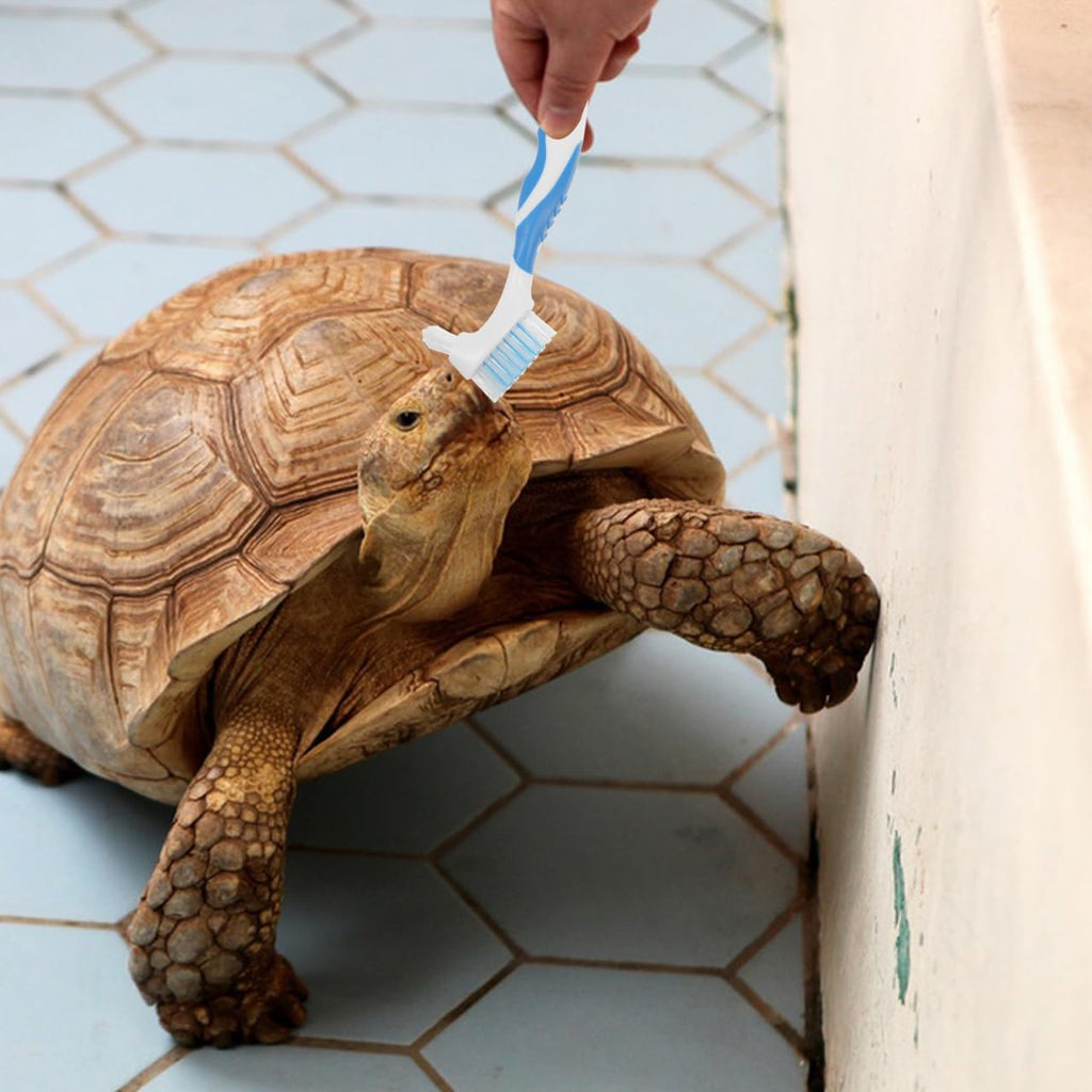 NOLITOY tortoise shell cleaner brush demonstrating the non slip grip design for safe reptile maintenance.