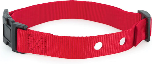 PetSafe 1 inch replacement dog collar strap in red
