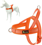 Plutus Pet premium imported nylon dog harness in beige color