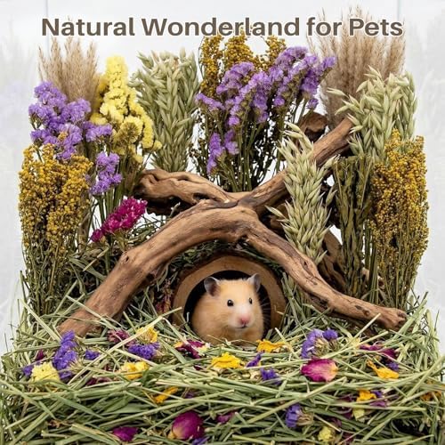 Sukh 42Pcs Herb Bedding Habitat Decor - Natural Flower Hamster Mate Herbs Sprays Cage Safe Pet Accessories Decorations Hideout for Hamsters Mouse Guinea Pig Dwarf Gerbils Syrian Mice - Image 6