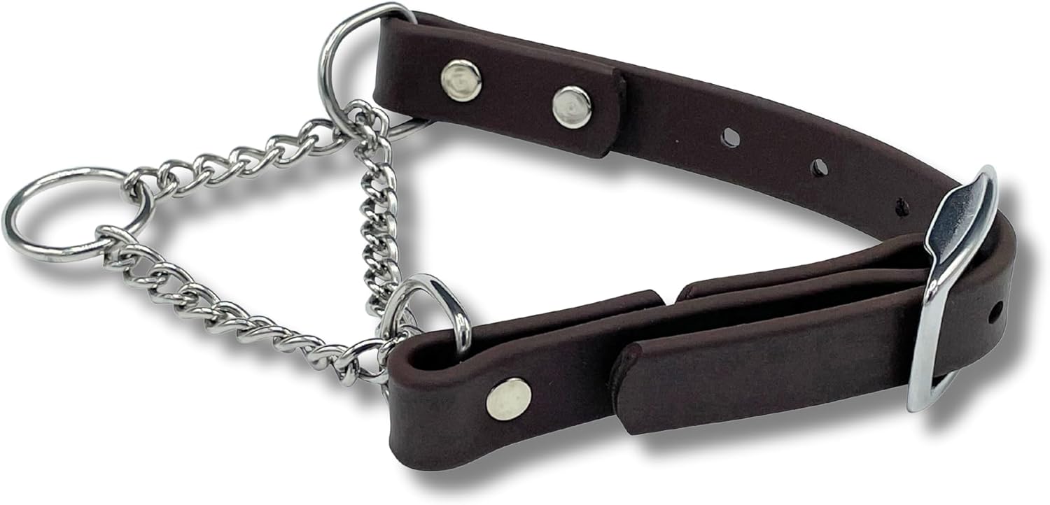 Martingale Collar for Dogs, Biothane, Stainless Steel Hardware, No Pull, Made in The USA, Professional Grade, Medium, Black - Image 15