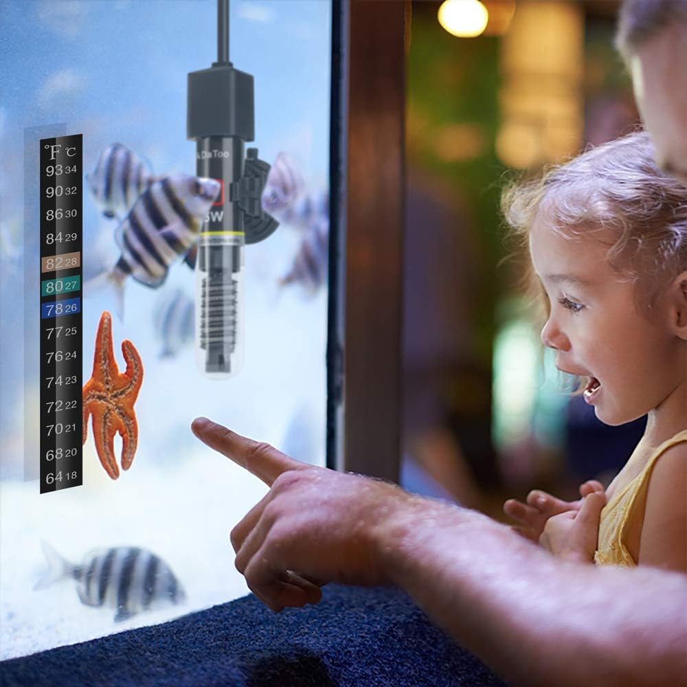 DaToo heater safety features highlighting rubber seal and glass