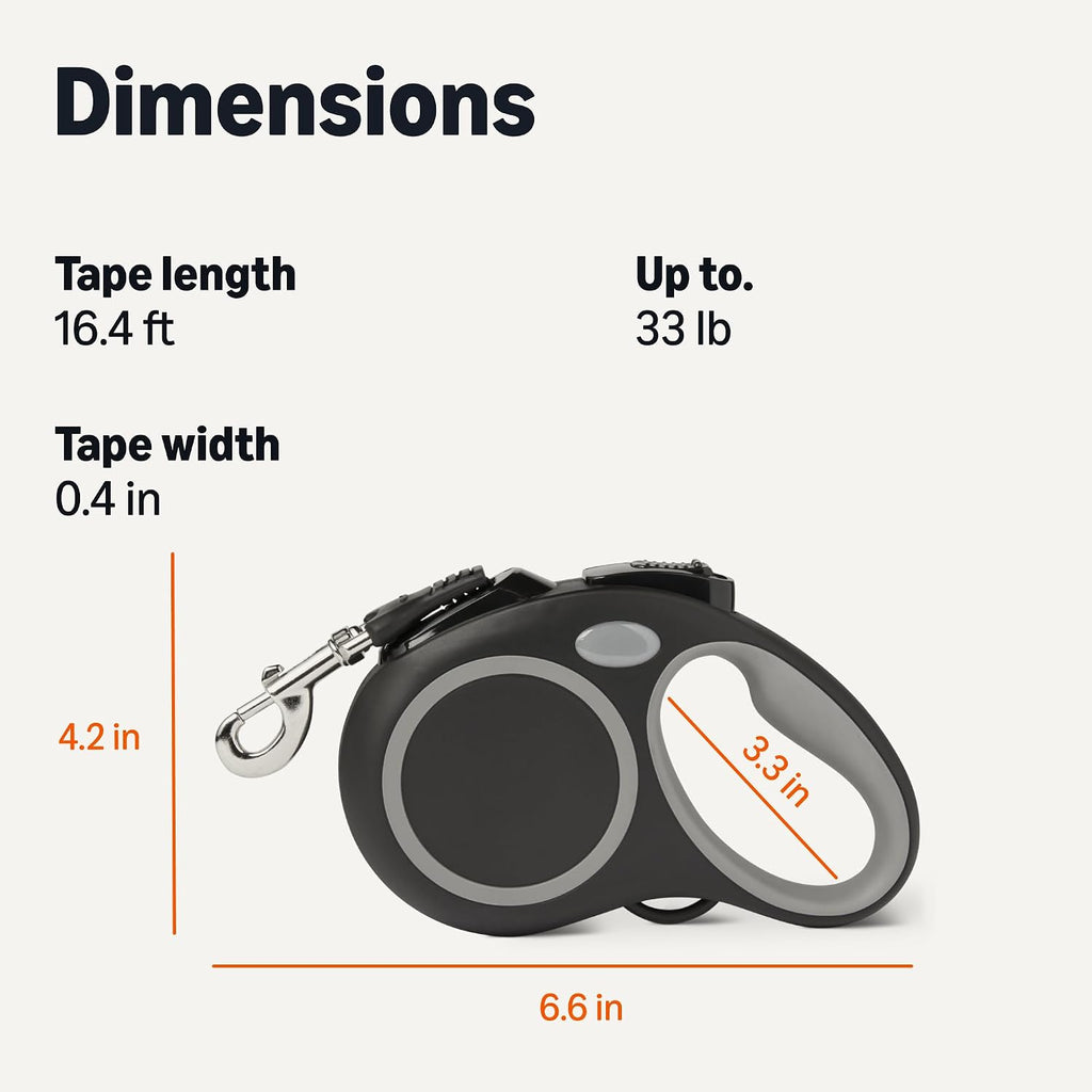 Small dog being walked with black retractable leash