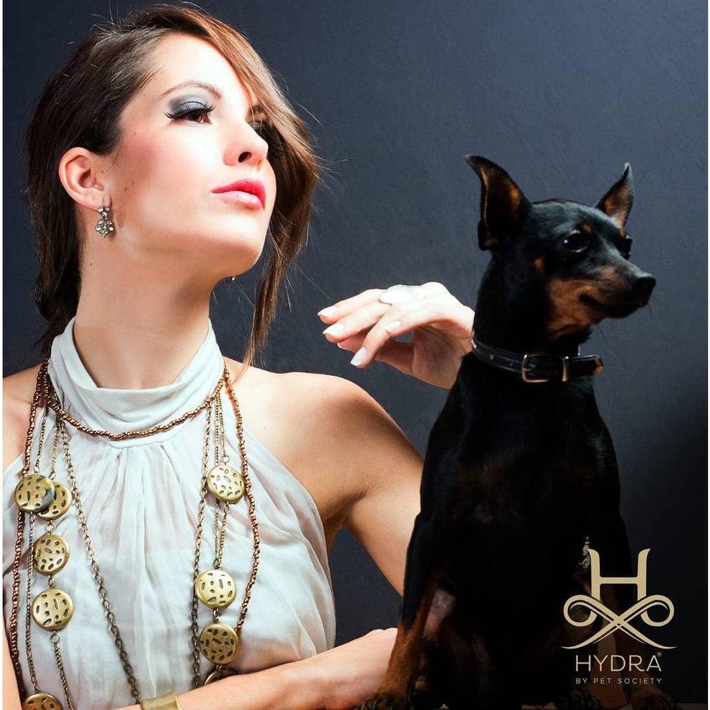 Hydra professional dog conditioner for removing dead undercoat and reducing shedding