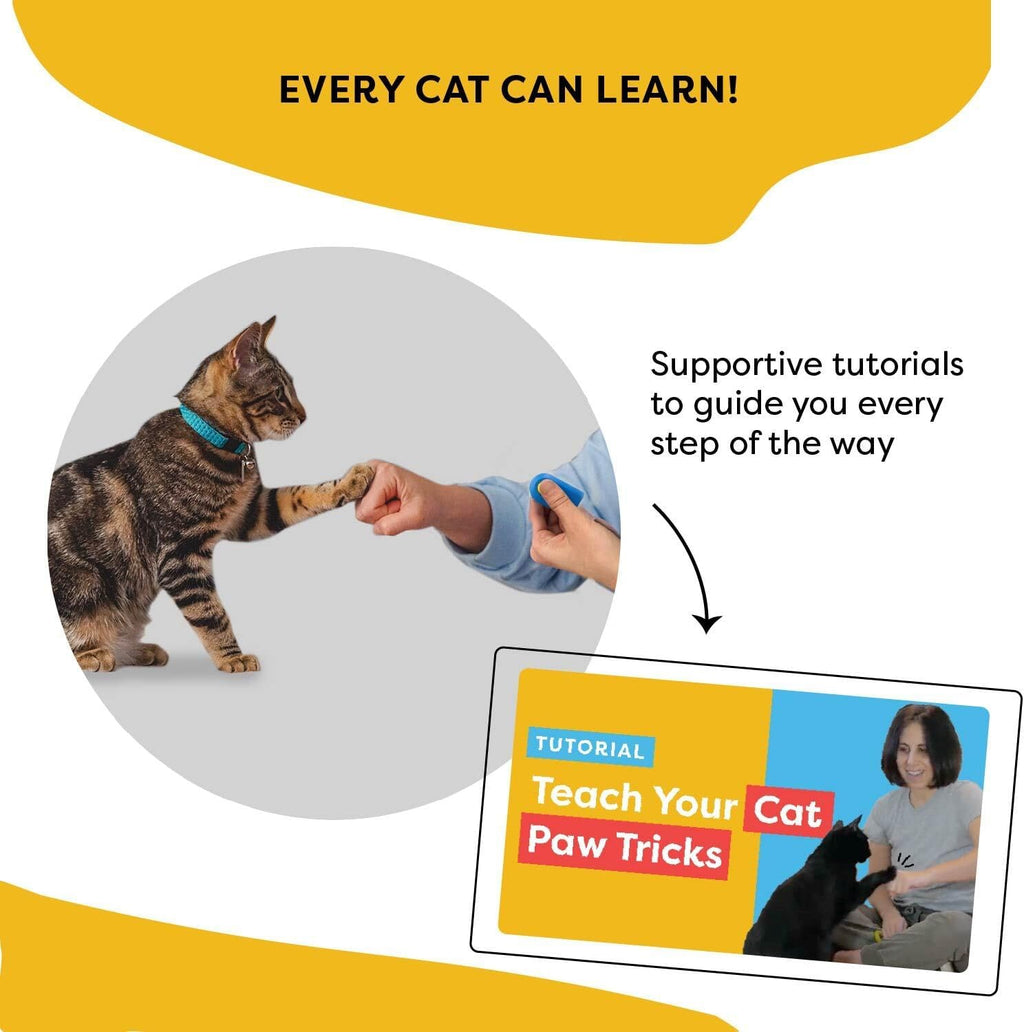 Authentic USA imported CAT SCHOOL positive reinforcement clicker set packaged with user instruction booklet