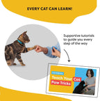 Authentic USA imported CAT SCHOOL positive reinforcement clicker set packaged with user instruction booklet