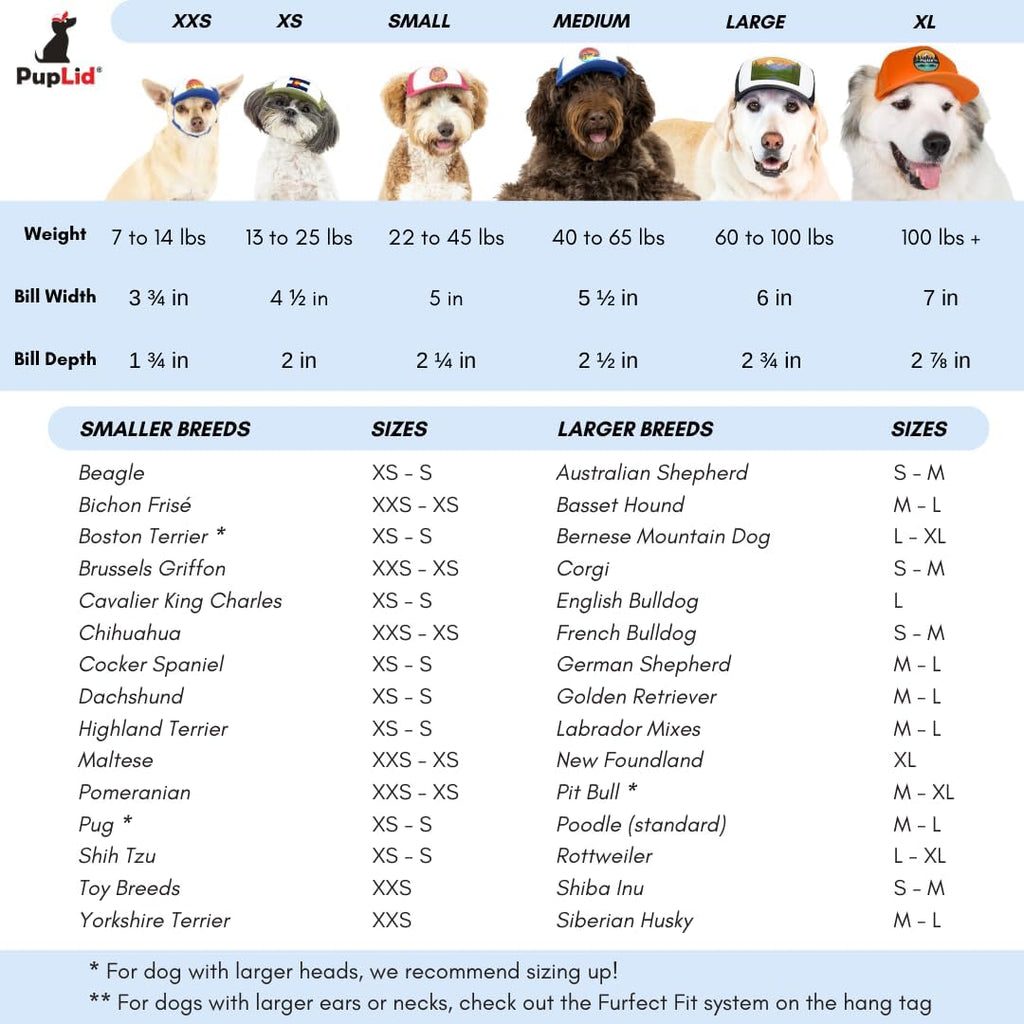 Premium sun protection visor for dogs PupLid brand