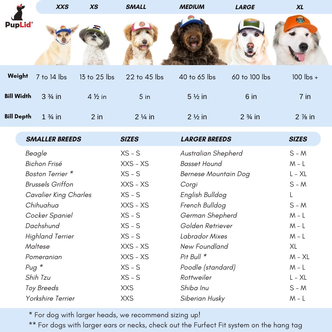 Premium sun protection visor for dogs PupLid brand