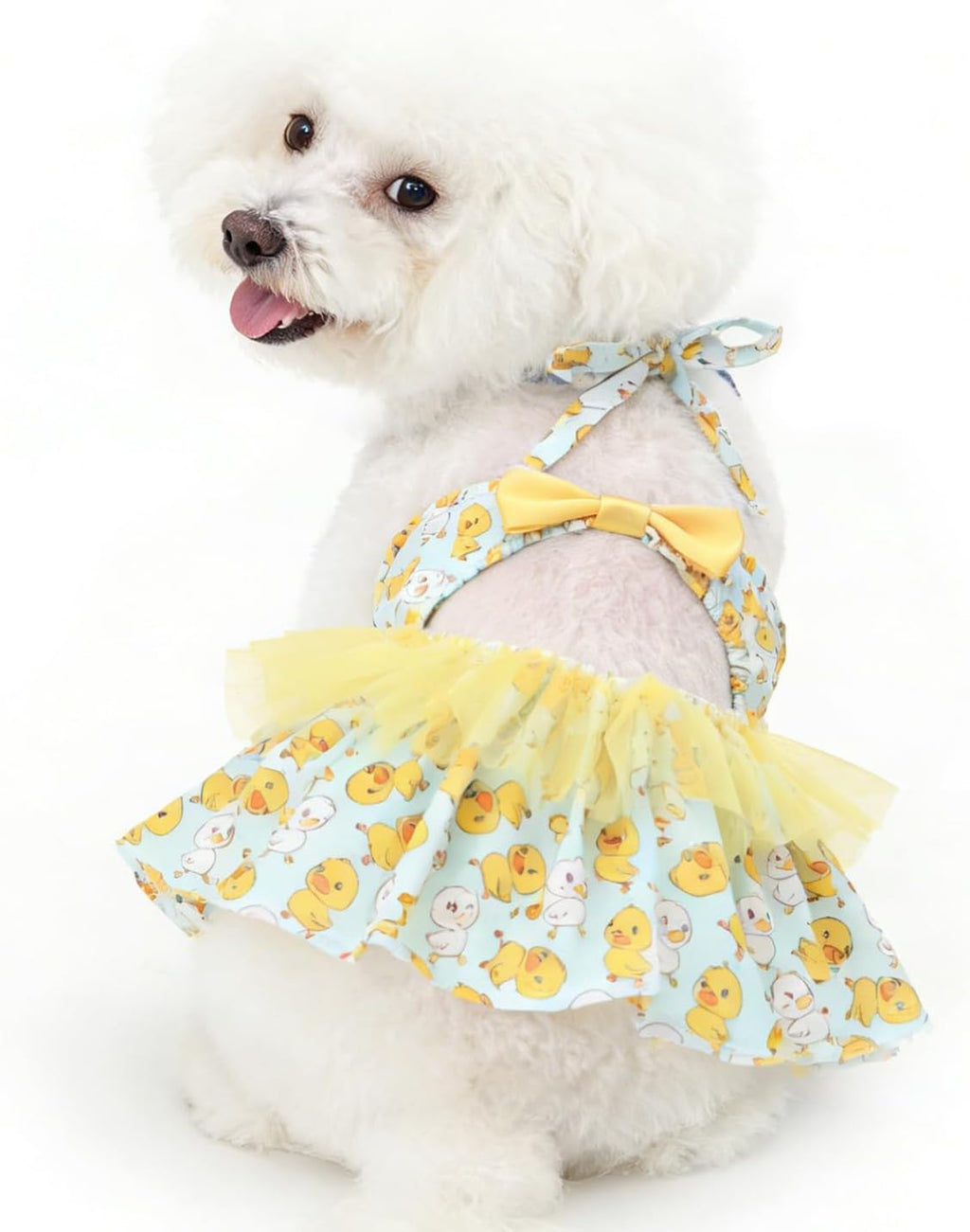 CuteBone One Piece Dog Bikini Swimsuit Dress - Puppy Bathing Suit Costume for Small Dogs - Comfortable & Stylish Pet Clothes for Summer Pool, Beach & Play LTDB11L - Image 10