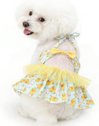 CuteBone One Piece Dog Bikini Swimsuit Dress - Puppy Bathing Suit Costume for Small Dogs - Comfortable & Stylish Pet Clothes for Summer Pool, Beach & Play LTDB11L - Image 10
