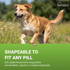 Dog happily eating medication wrapped in Vetoquinol paste