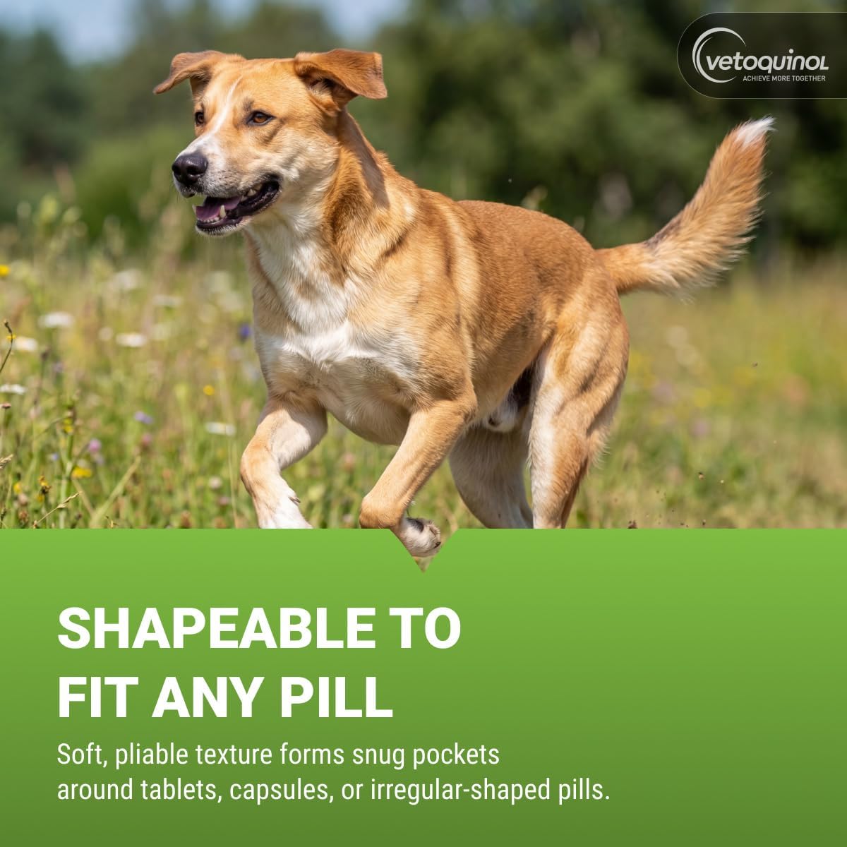 Dog happily eating medication wrapped in Vetoquinol paste
