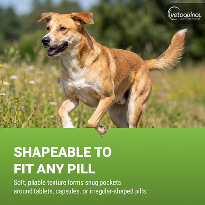 Dog happily eating medication wrapped in Vetoquinol paste