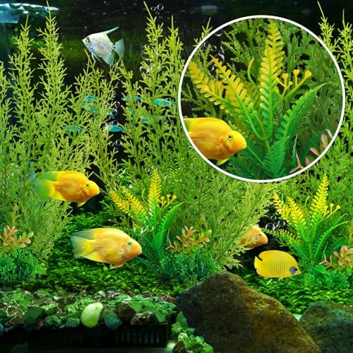 QUOZUO three piece fish tank decoration set showcasing the realistic cypress look.
